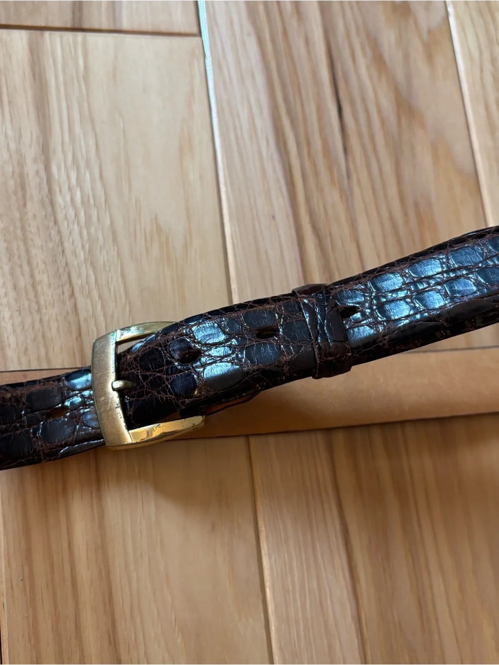 Vintage hickok alligator